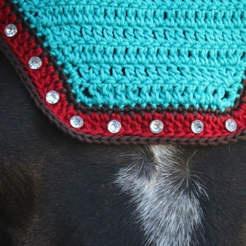 Turquoise & Deep Red with Brown, Clear Stones